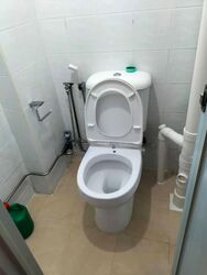 Blk 100 Toa Payoh Palm Spring (Toa Payoh), HDB 4 Rooms #574535191